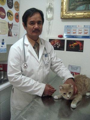 247 best sale animal hospital